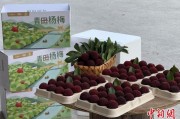 八字命盘高速赋能产业升级：一条“杨梅路”的致富密码