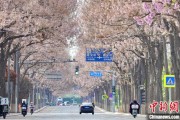 八字命盘共建“花园城市” 北京这场议政会“百花齐放”
